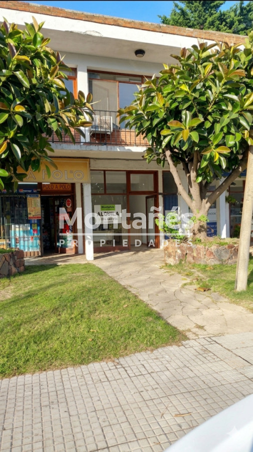 Local Comercial ID.10616 - Local Comercial frente a IMM