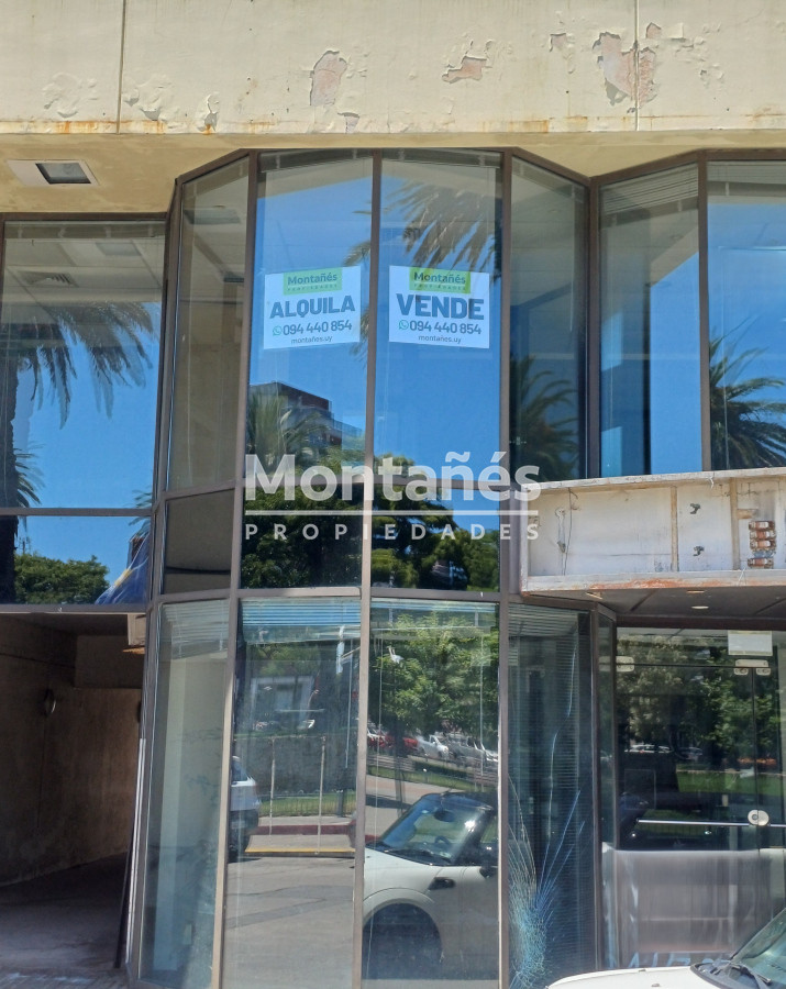 Centro Maldonado - GoPunta - Portal Inmobiliario de Punta del Este - Maldonado