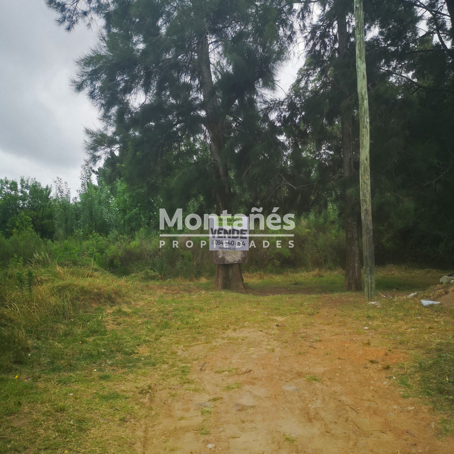 Terreno ID.10248 - Oportunidad!!  Ultimos 3 terrenos en la zona