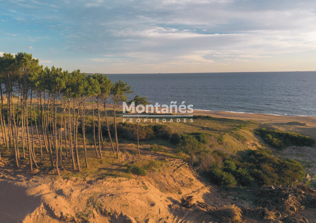 Terreno ID.10549 - Donde el bosque y el mar construyen valor!!  ASTRA