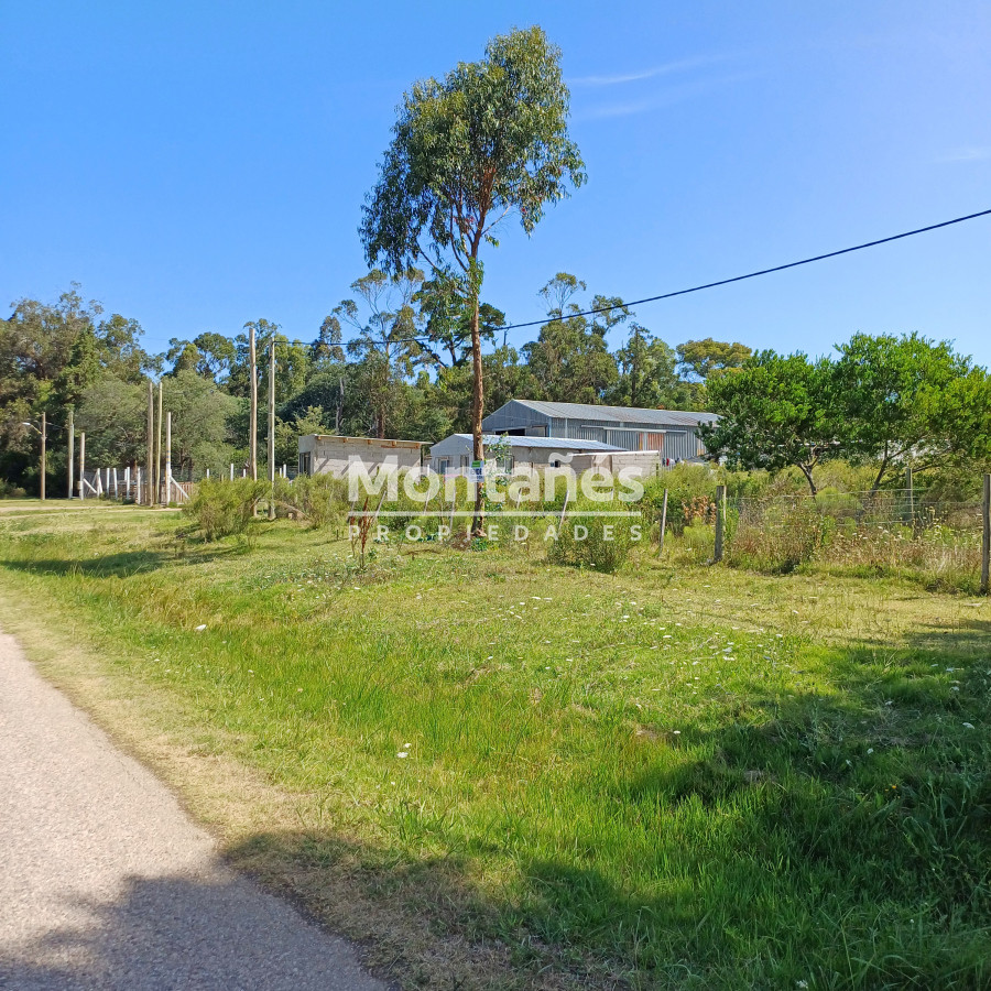 La Capuera - GoPunta - Portal Inmobiliario de Punta del Este - Maldonado