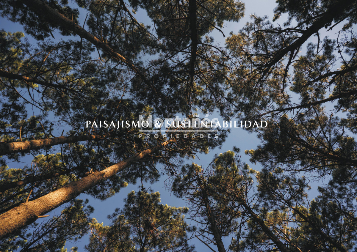 Terreno ID.10549 - Donde el bosque y el mar construyen valor!!  ASTRA