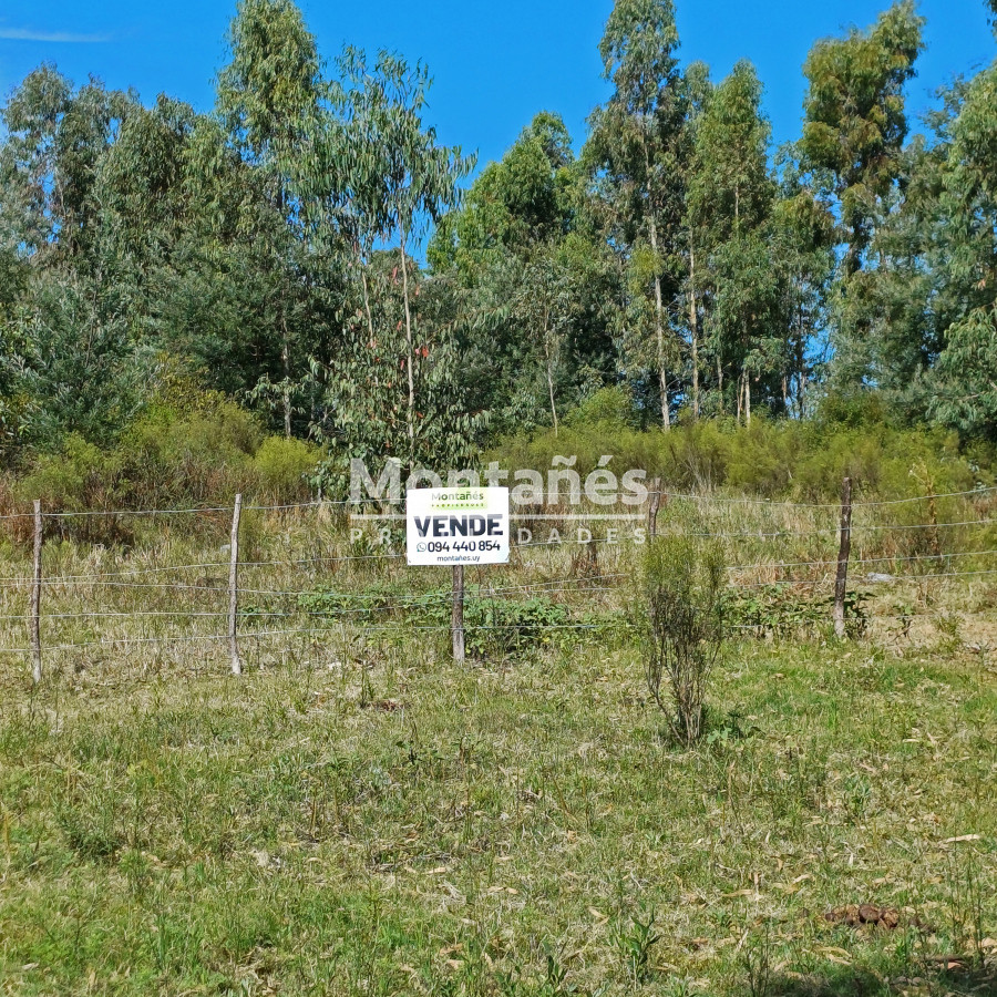 La Capuera - GoPunta - Portal Inmobiliario de Punta del Este - Maldonado