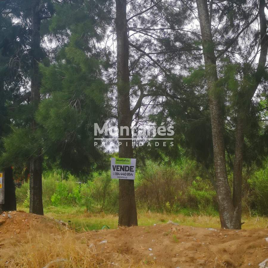 Terreno ID.10248 - Oportunidad!!  Ultimos 3 terrenos en la zona