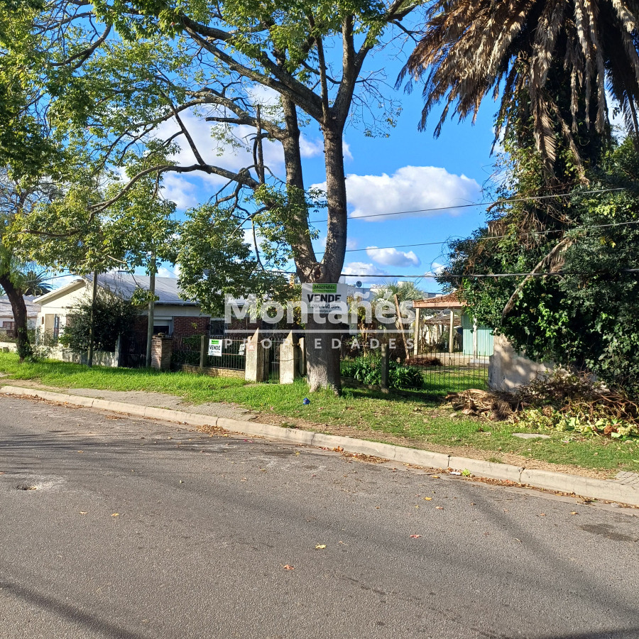 Centro Maldonado - GoPunta - Portal Inmobiliario de Punta del Este - Maldonado
