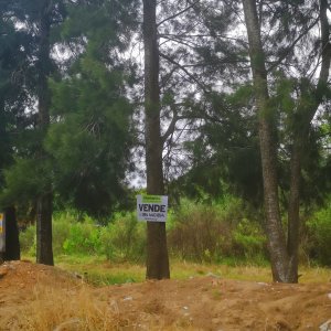 Oportunidad!!  Ultimos 3 terrenos en la zona
