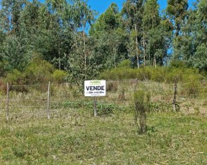 Espectacular Terreno en La Capuera