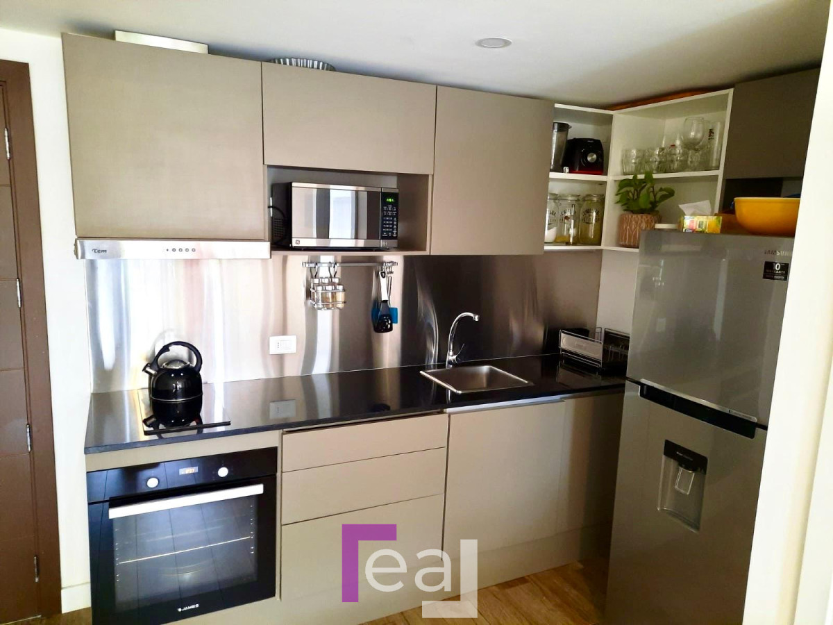 Apartamento ID.226 - Penthouse 1 dormitorio peninsula en alquiler Anual 