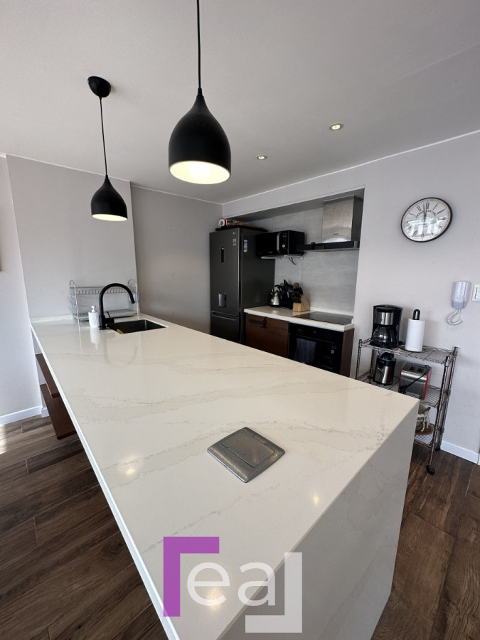 Apartamento ID.123 - Oportunidad apartamento totalmente reciclado en Peninsula 2 dorm 2 baños