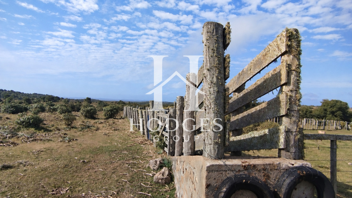 Campo Ref.635 - Campo de 80 hectáreas en la zona del Cerro Catedral