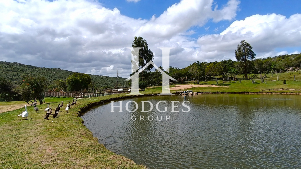 Campo Ref.634 - Campo de 39 hectareas con casa en venta, zona Cerro Catedral