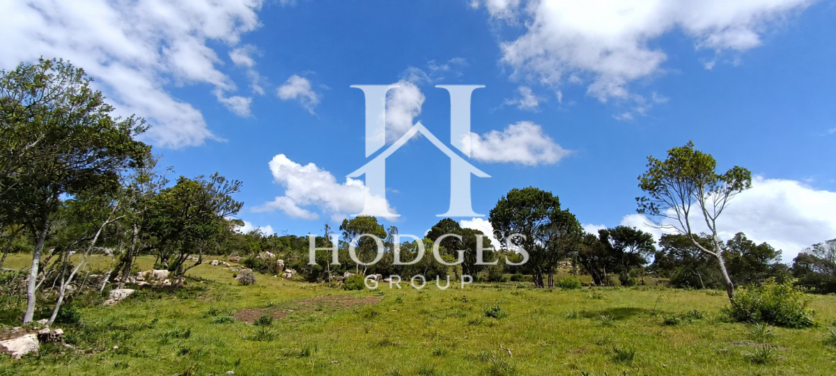 Campo Ref.634 - Campo de 39 hectareas con casa en venta, zona Cerro Catedral