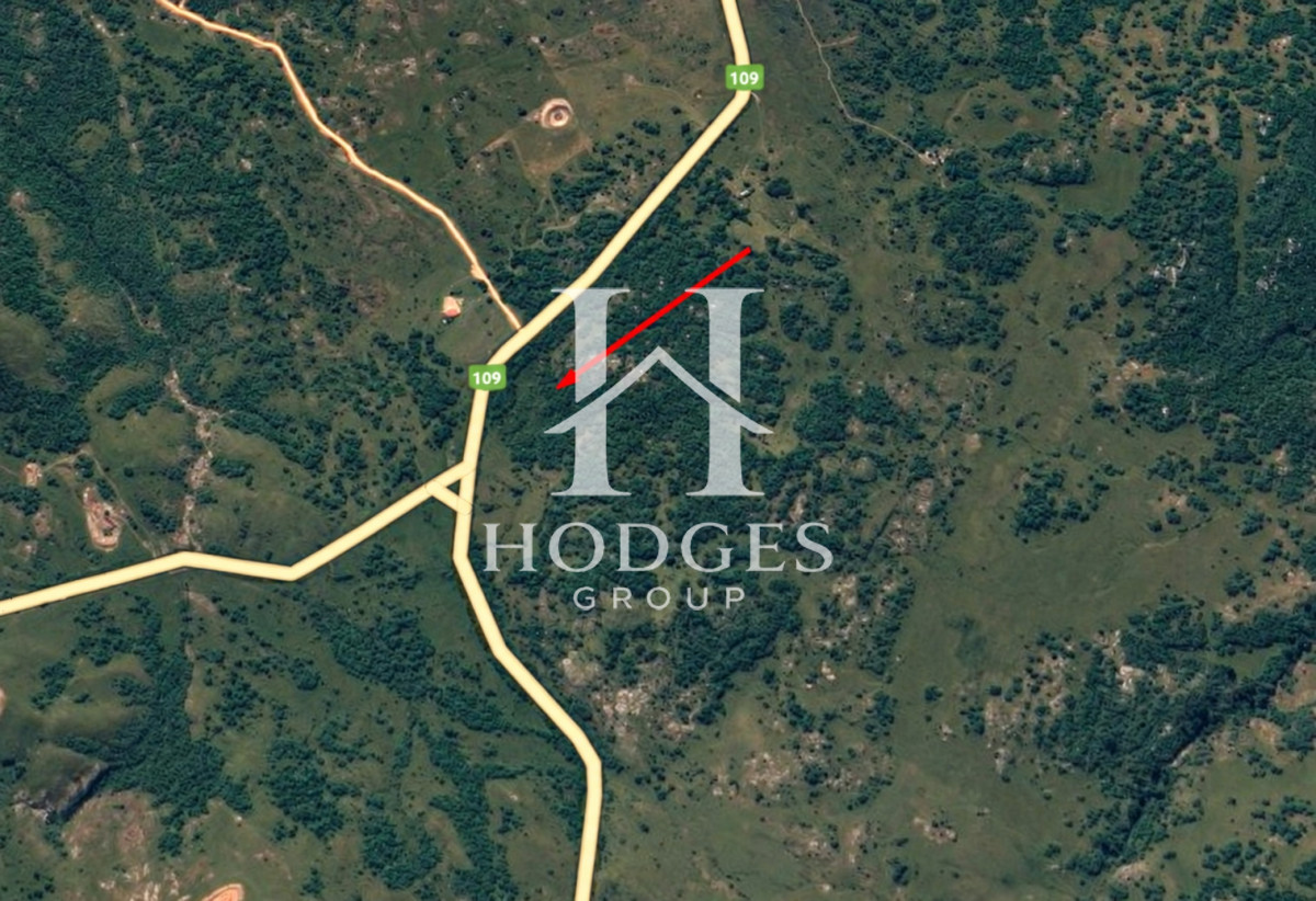 Campo Ref.635 - Campo de 80 hectáreas en la zona del Cerro Catedral
