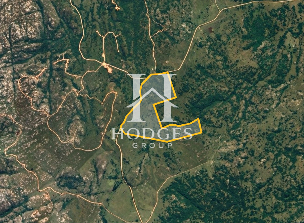Campo Ref.635 - Campo de 80 hectáreas en la zona del Cerro Catedral
