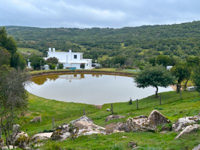 Campo de 254 hectareas en venta, zona Cerro Catedral