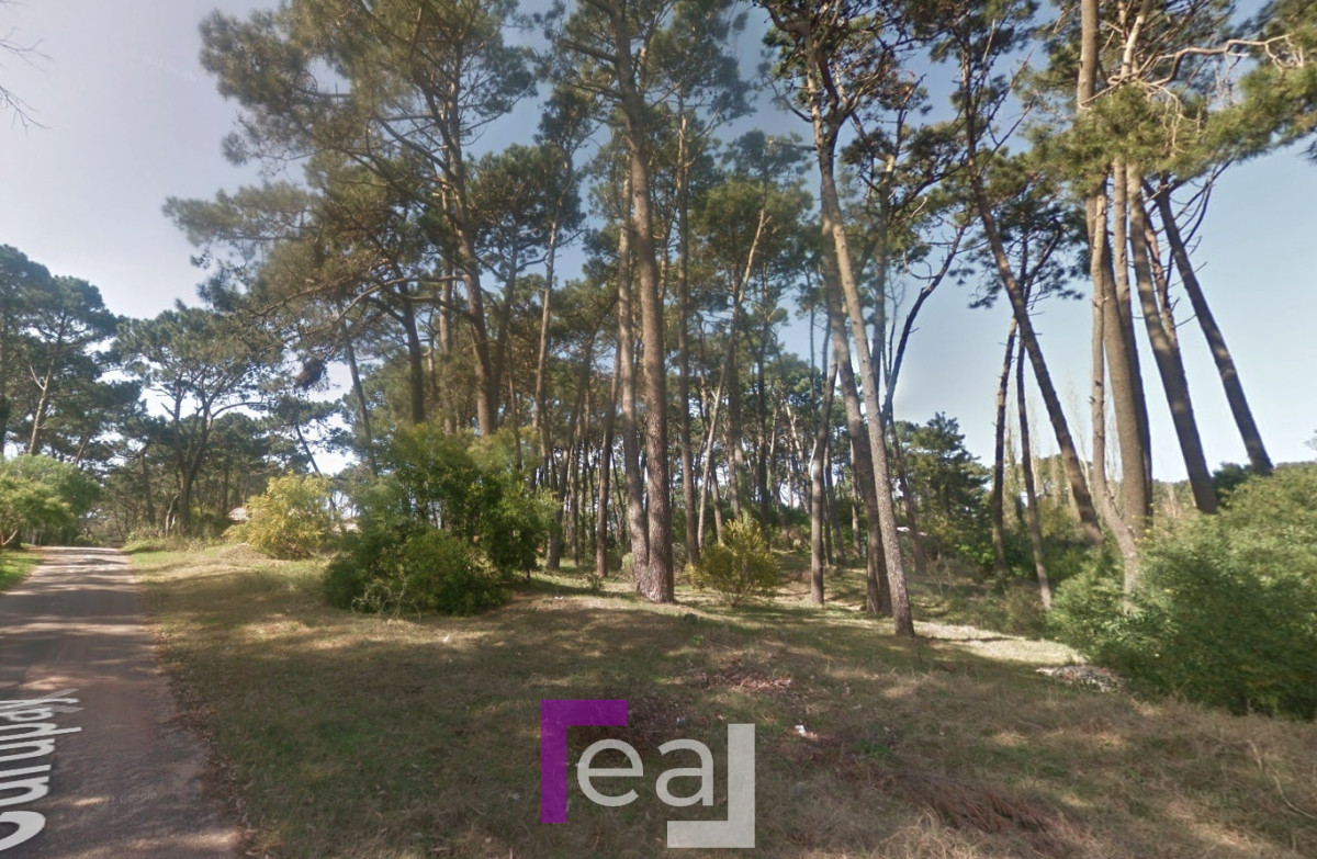 Terreno ID.246 - Terreno en oferta Punta del Este barrio Marly 1032 m2