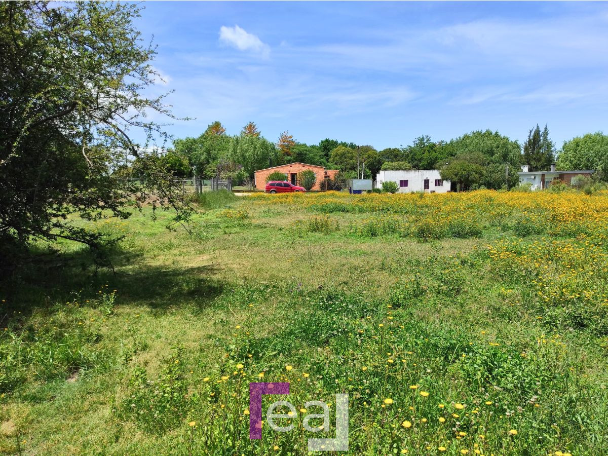 Terreno ID.201 - Venta de Terrenos en Colonia Valdense 