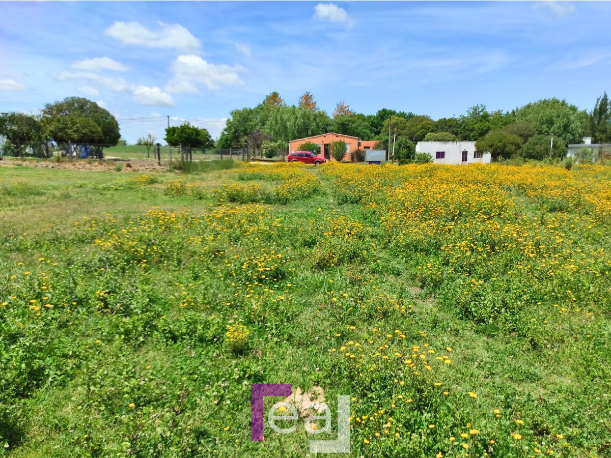 Terreno ID.201 - Venta de Terrenos en Colonia Valdense 