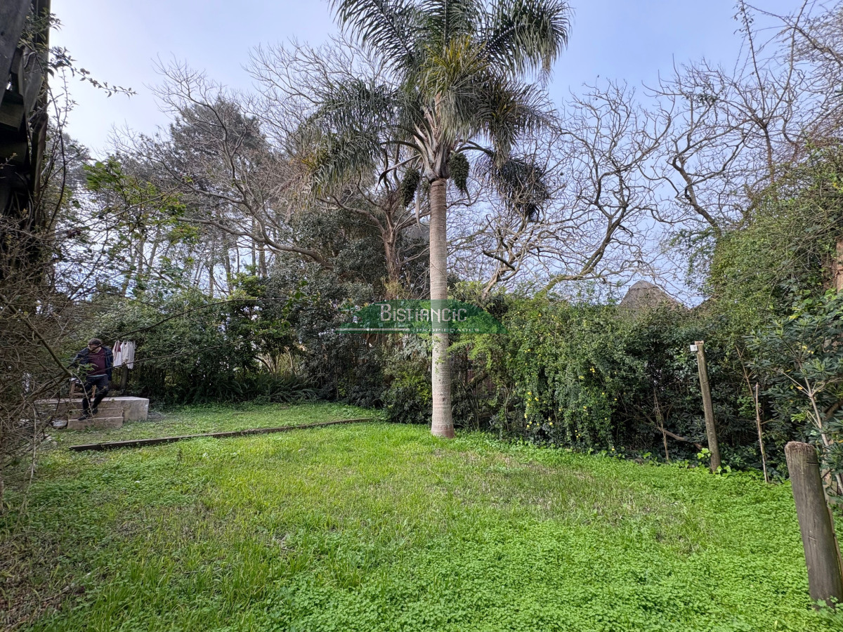 Casa ID.2991 - Rincón del Indio, moderno chalé de 3 dorm 3 baños, terraza con parrilla, super integrado al bosque. Diseño y practicidad en un lugar para disfrutar. 