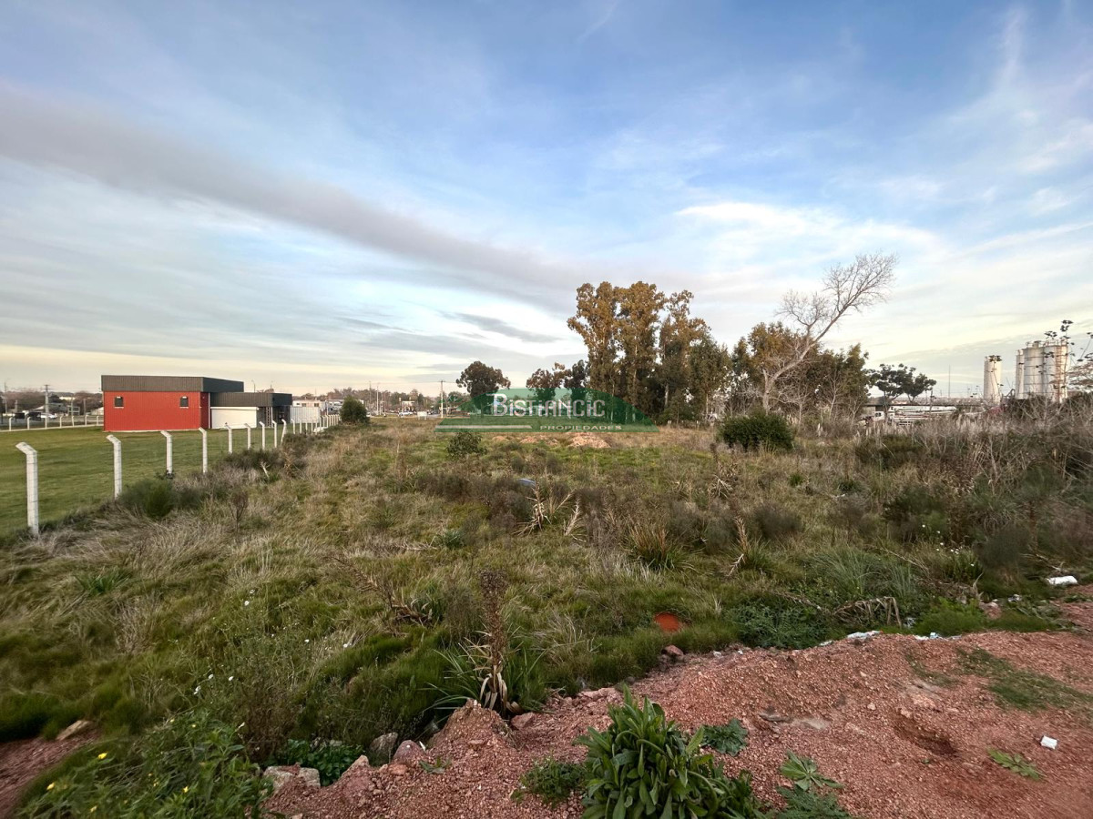 Chacra ID.2119 - Terreno frente a Ruta 39, de 4370 m2, zona logística, galpones, empresas, etc. Venta US$ 437000.