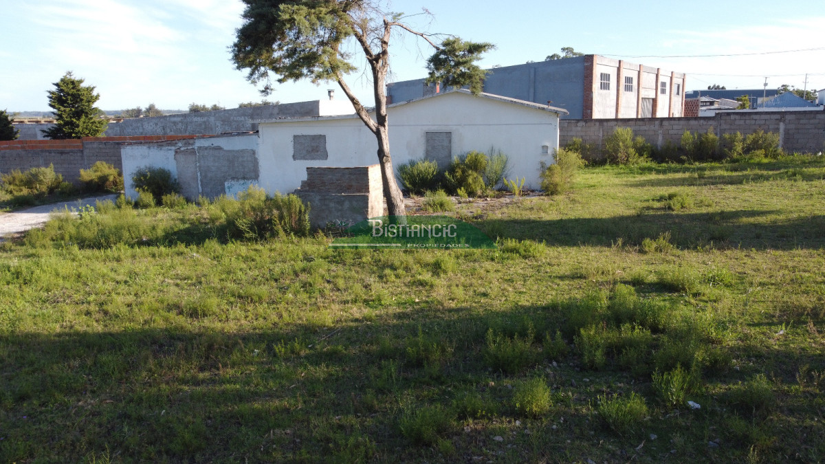 Lote 16.500 m2 sobre Ruta 39 U$S 30x m2 - GoPunta - Portal Inmobiliario de Punta del Este - Maldonado