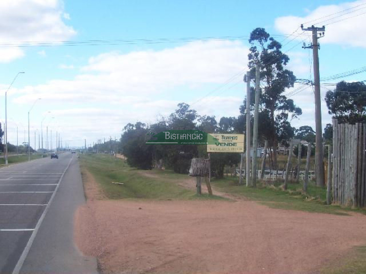 Lote 16.500 m2 sobre Ruta 39 U$S 30x m2 - GoPunta - Portal Inmobiliario de Punta del Este - Maldonado