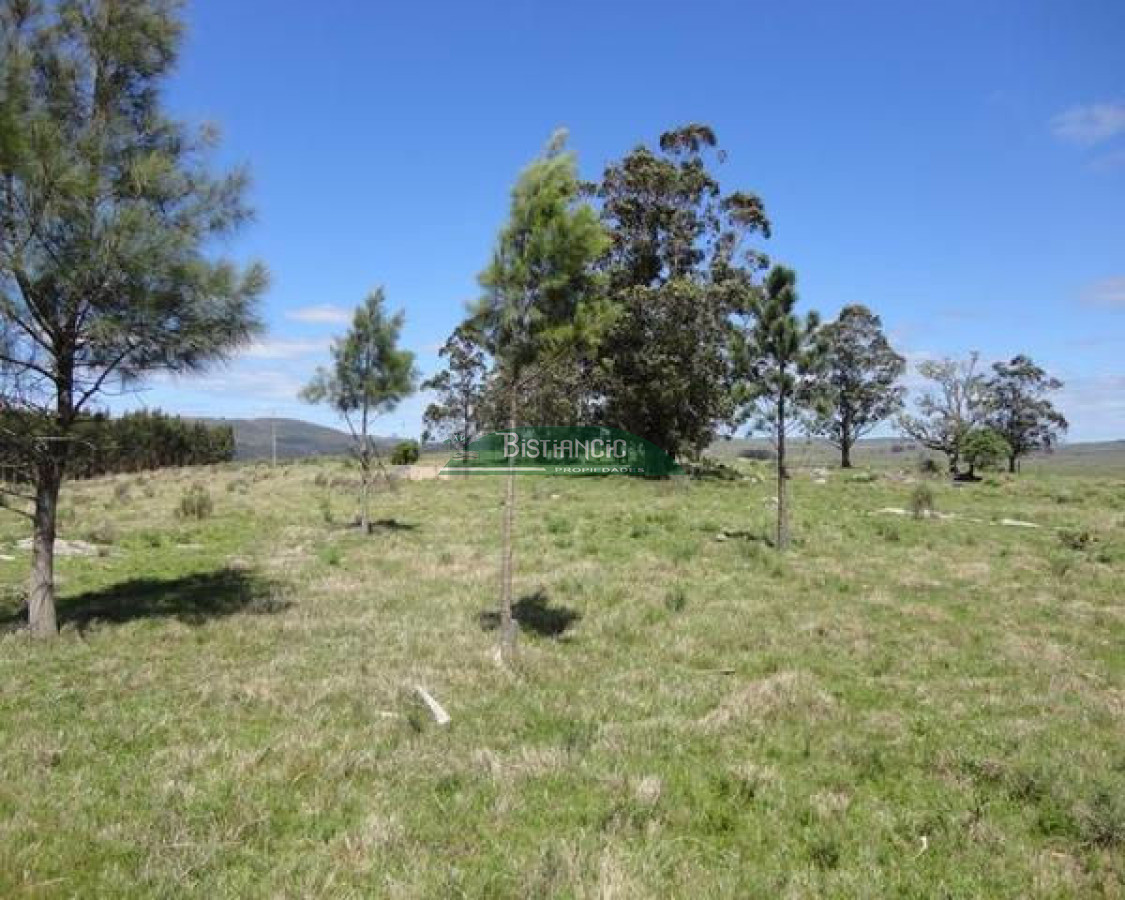 Chacra ID.2112 - 