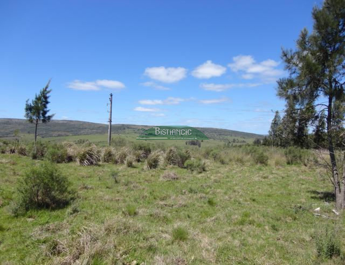 Chacra ID.2112 - 