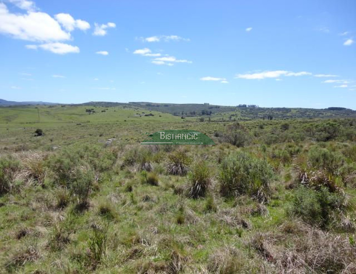 Chacra ID.2112 - 