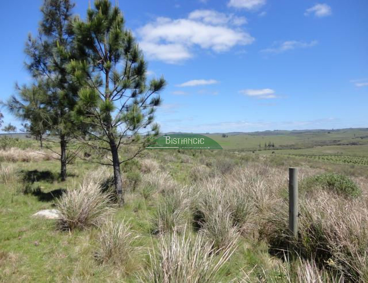 Chacra ID.2112 - 