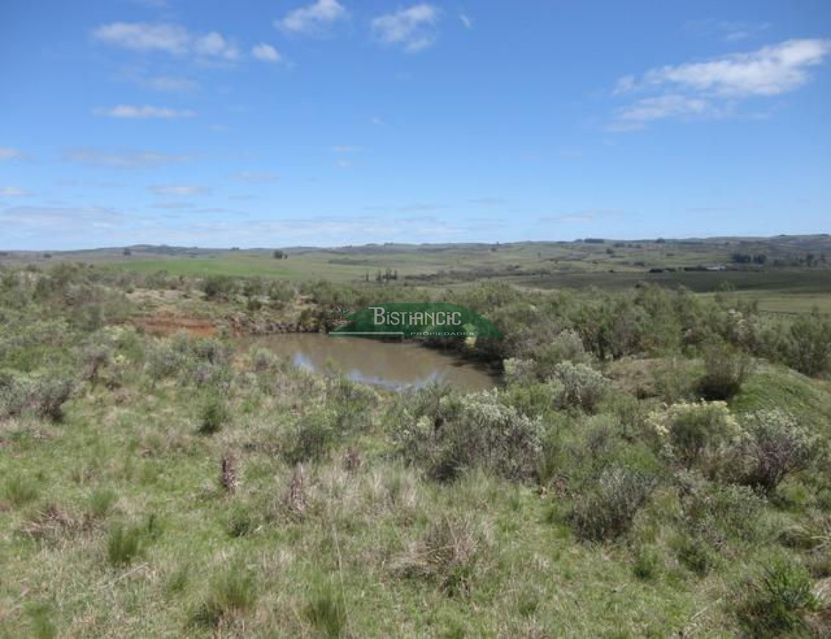 Chacra ID.2112 - 