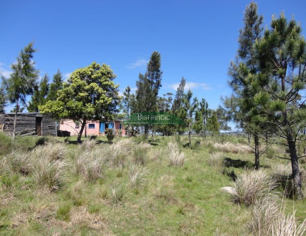 Chacra ID.2112 - 