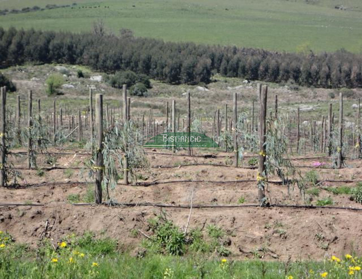 Chacra ID.2112 - 