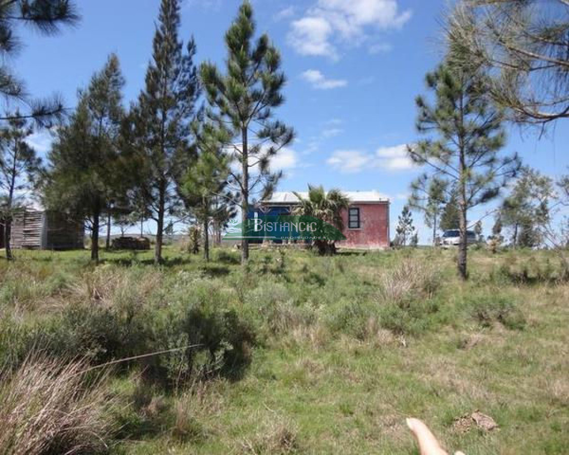 Chacra ID.2112 - 