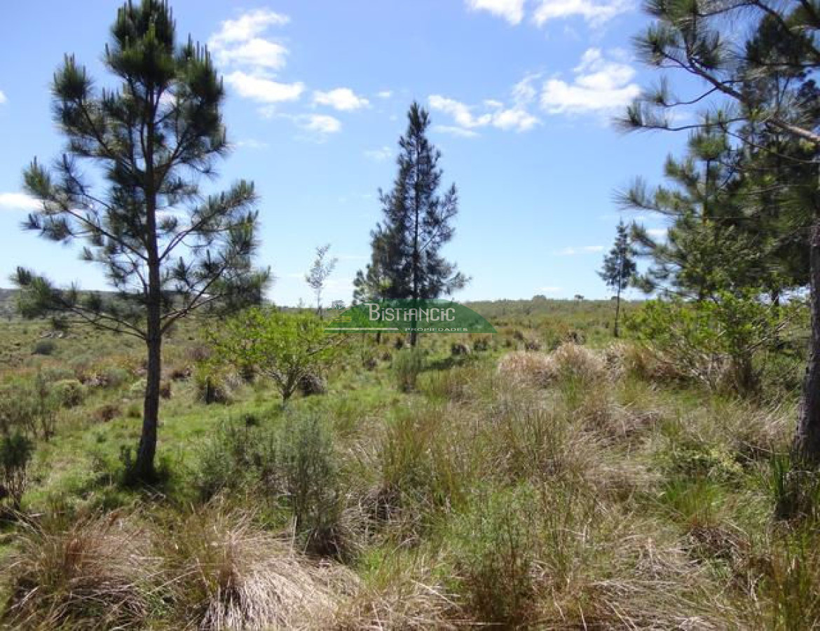 Chacra ID.2112 - 