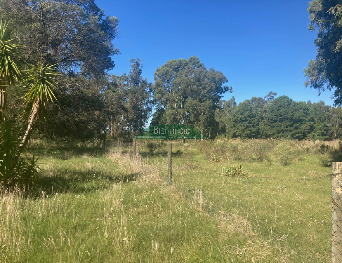 Chacra ID.2160 - Chacra Punta Ballena, 4,5 hect casa 350m2,  665000