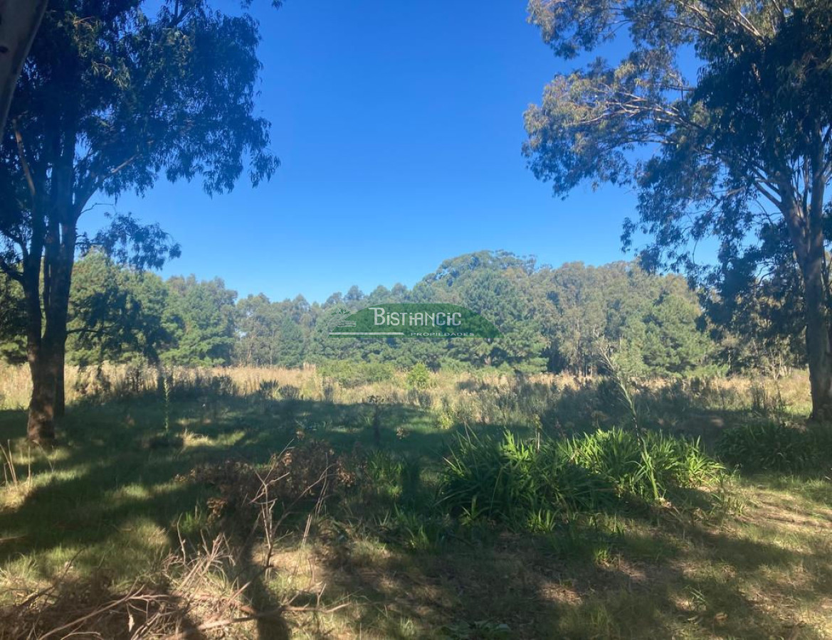 Chacra ID.2160 - Chacra Punta Ballena, 4,5 hect casa 350m2,  665000