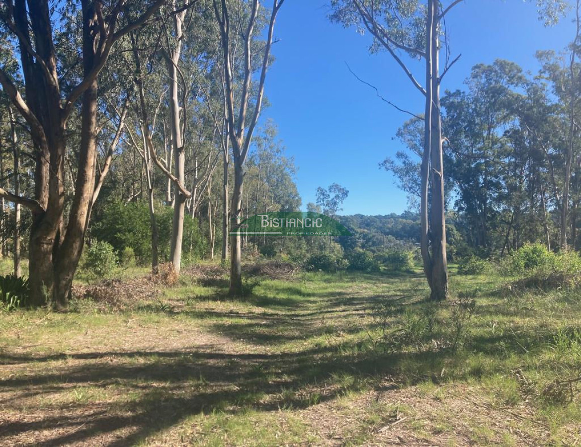 Chacra ID.2160 - Chacra Punta Ballena, 4,5 hect casa 350m2,  665000