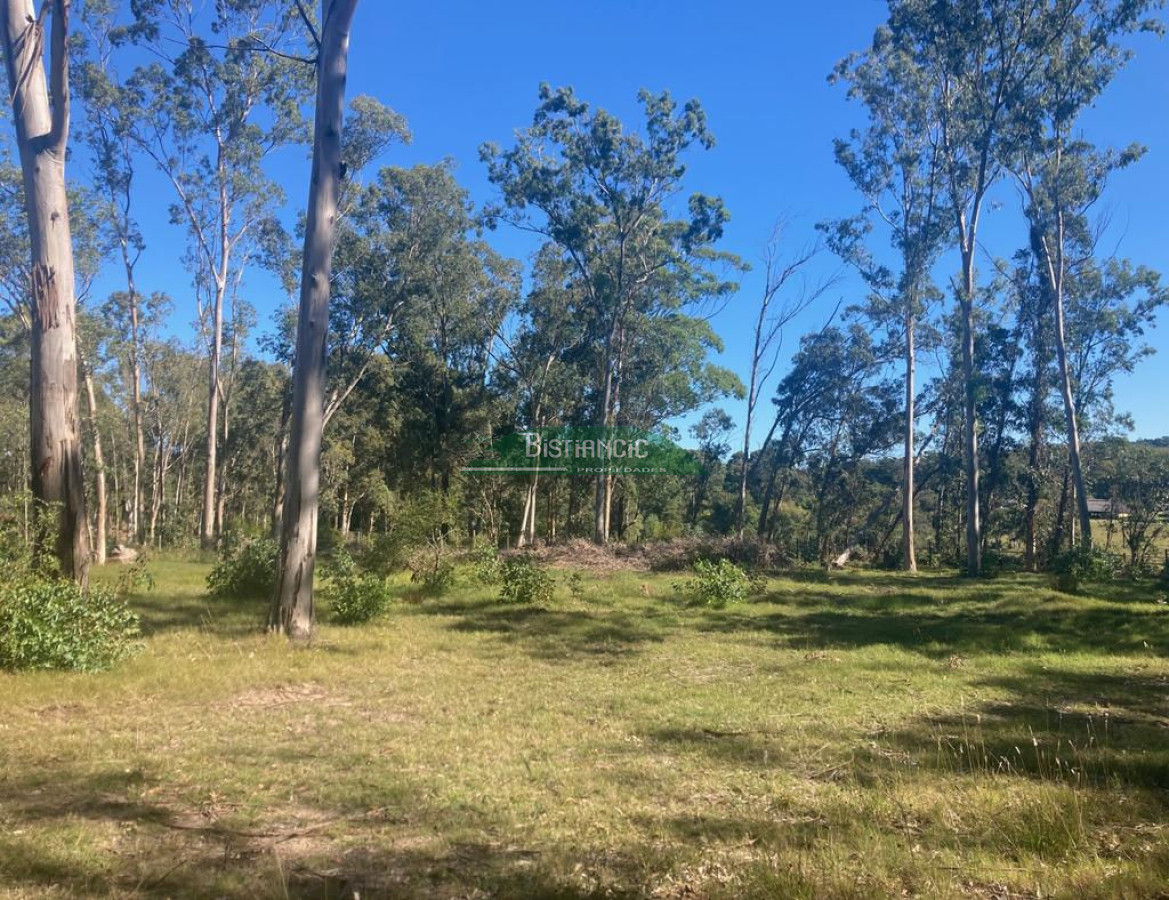 Chacra ID.2160 - Chacra Punta Ballena, 4,5 hect casa 350m2,  665000