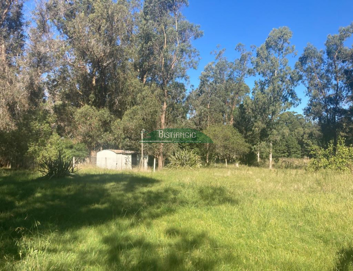 Chacra ID.2160 - Chacra Punta Ballena, 4,5 hect casa 350m2,  665000