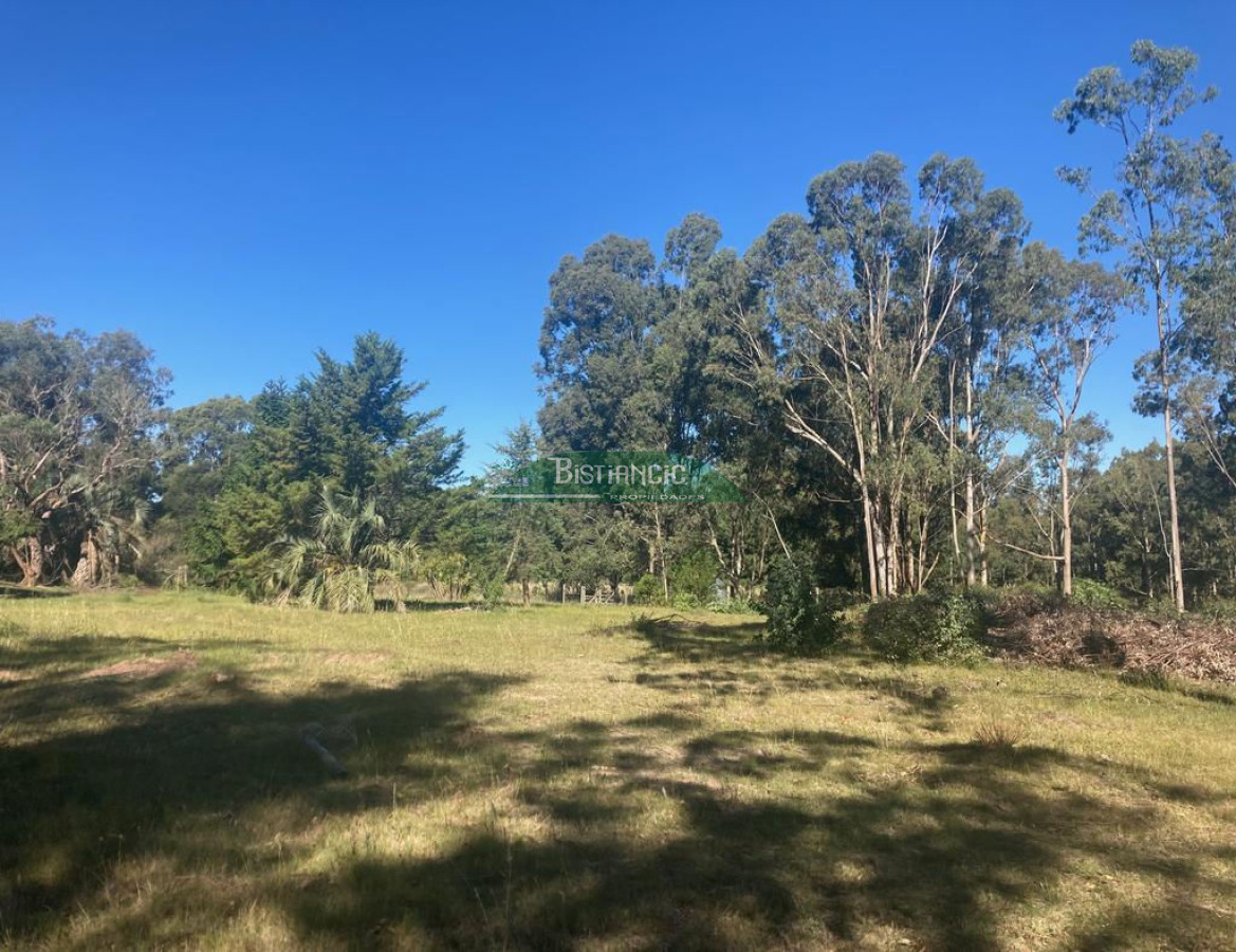 Chacra ID.2160 - Chacra Punta Ballena, 4,5 hect casa 350m2,  665000