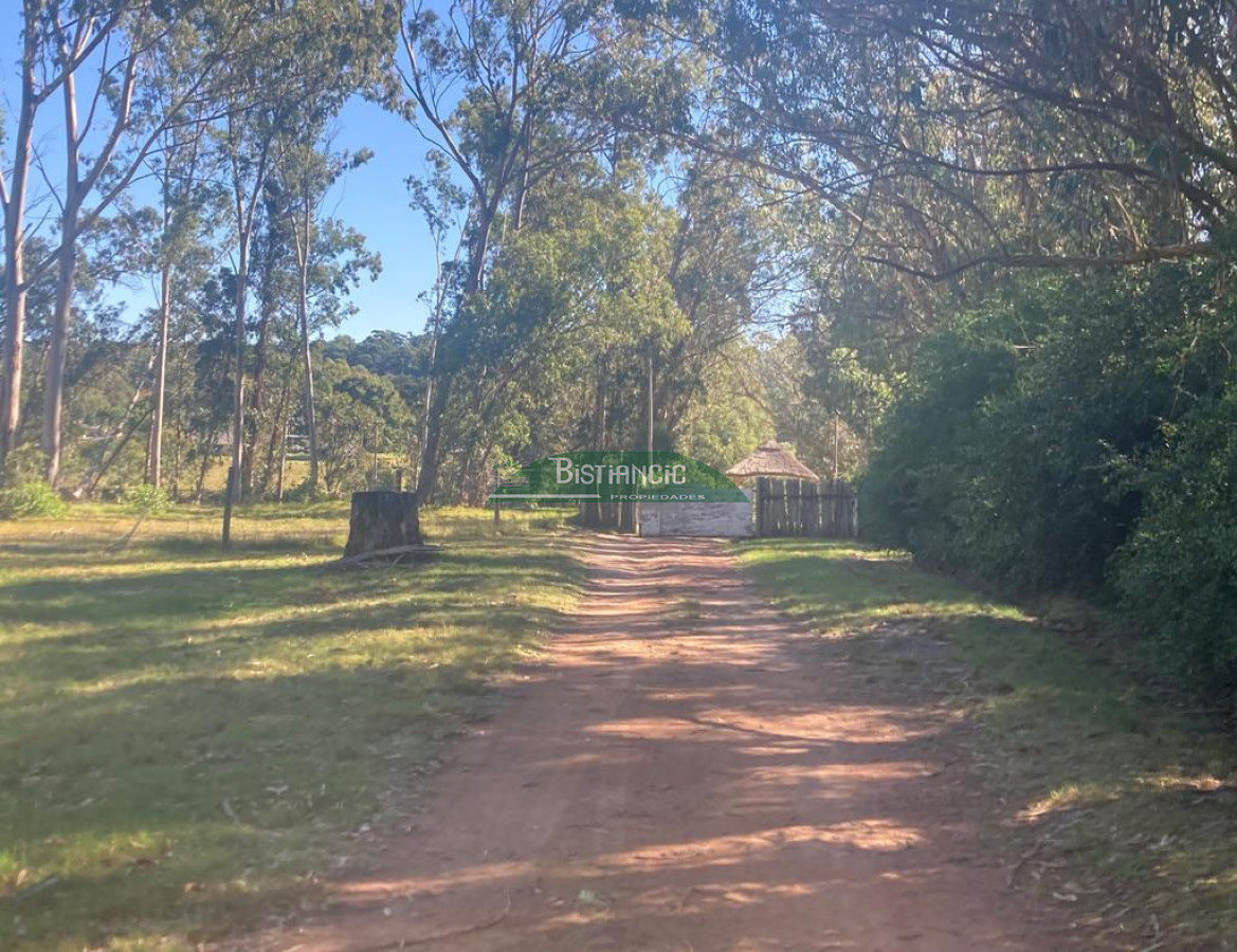 Chacra ID.2160 - Chacra Punta Ballena, 4,5 hect casa 350m2,  665000