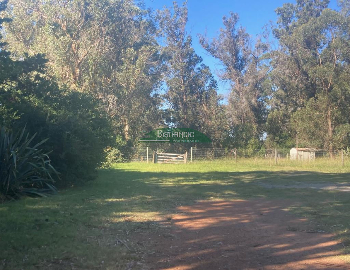 Chacra ID.2160 - Chacra Punta Ballena, 4,5 hect casa 350m2,  665000