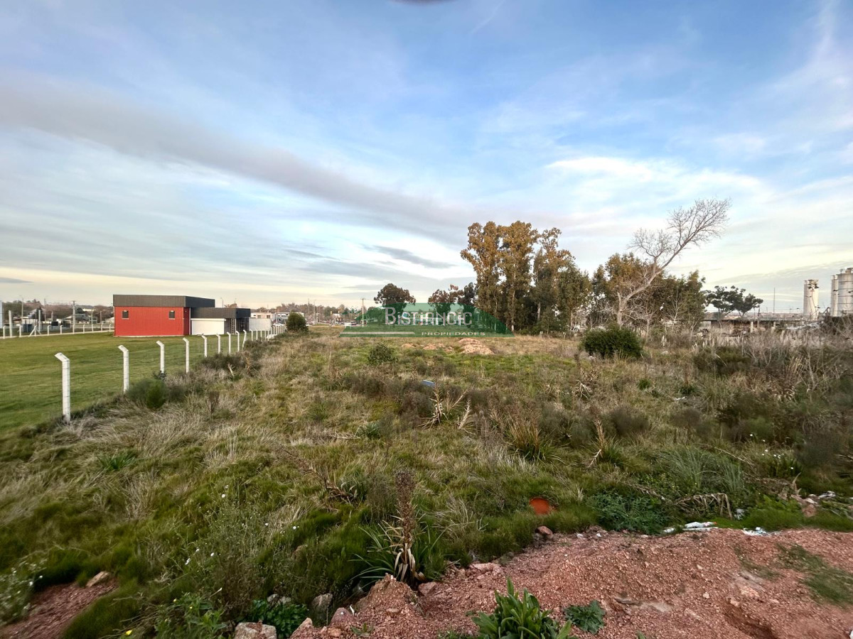 Chacra ID.2119 - Terreno frente a Ruta 39, de 4370 m2, zona logística, galpones, empresas, etc. Venta US$ 437000.