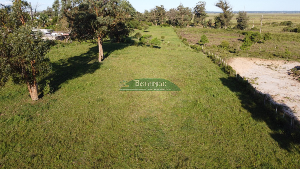 Lote 16.500 m2 sobre Ruta 39 U$S 30x m2 - GoPunta - Portal Inmobiliario de Punta del Este - Maldonado