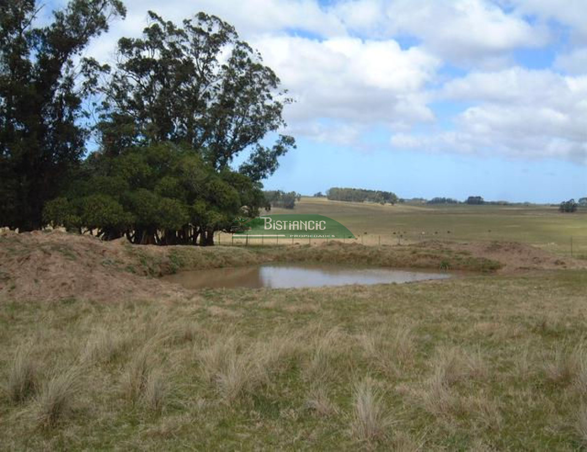 Campo Ref.2825 - Campo en , 