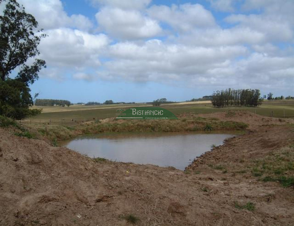 Campo Ref.2825 - Campo en , 