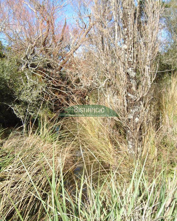 Campo Ref.2825 - Campo en , 