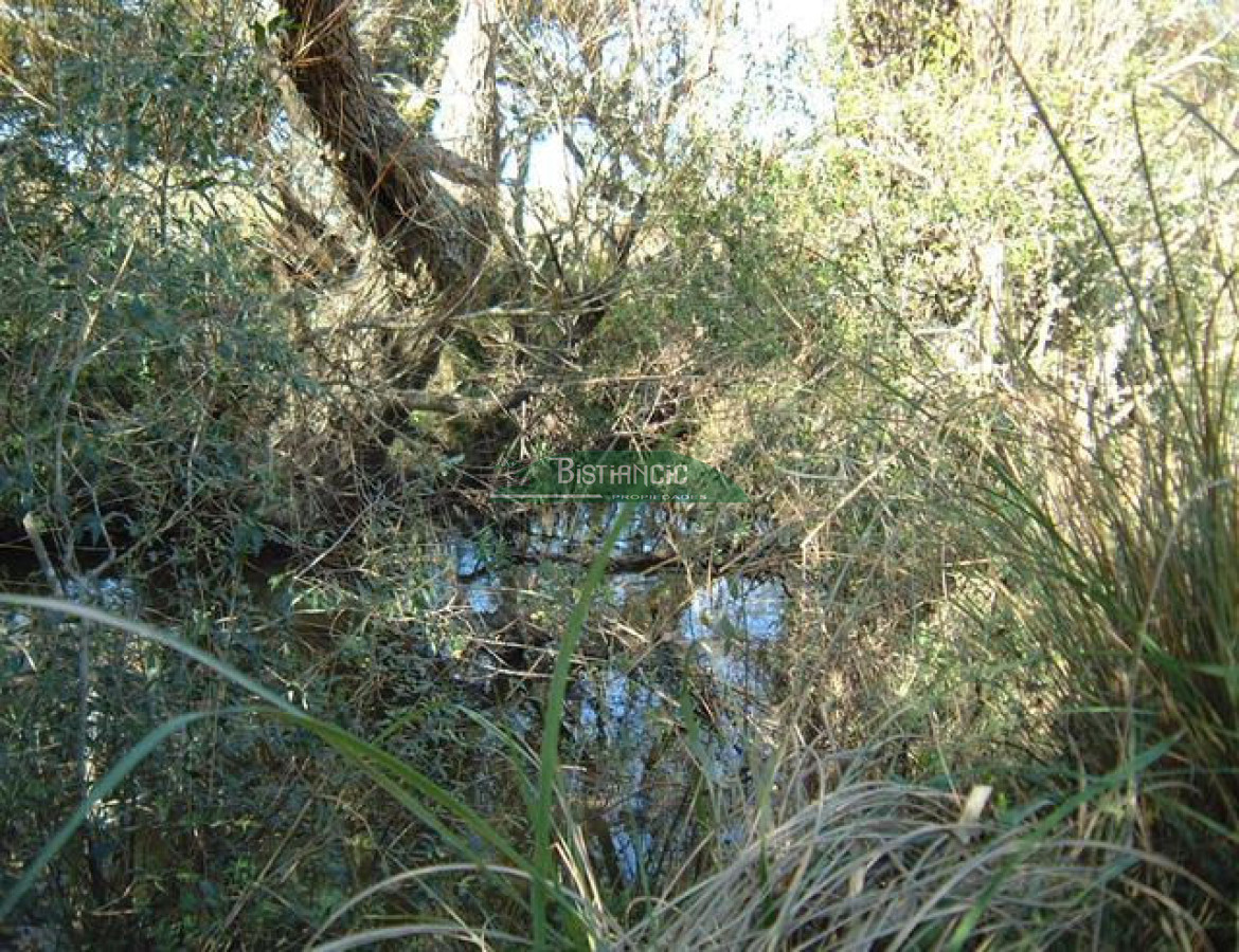 Campo Ref.2825 - Campo en , 