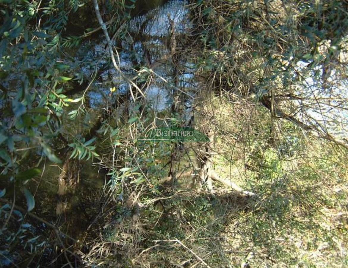 Campo Ref.2825 - Campo en , 